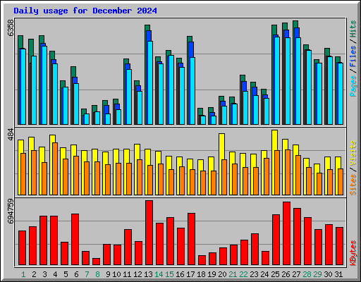 Daily usage for December 2024