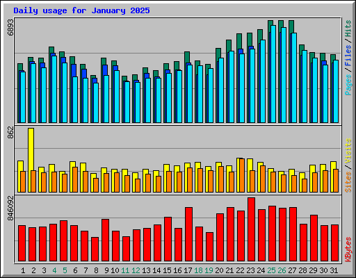 Daily usage for January 2025