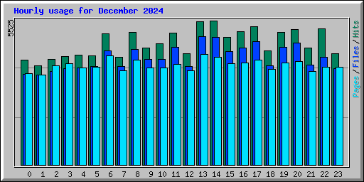 Hourly usage for December 2024