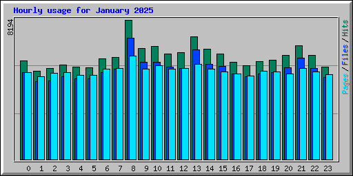 Hourly usage for January 2025