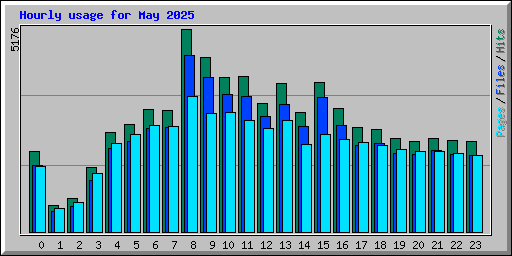 Hourly usage for May 2025