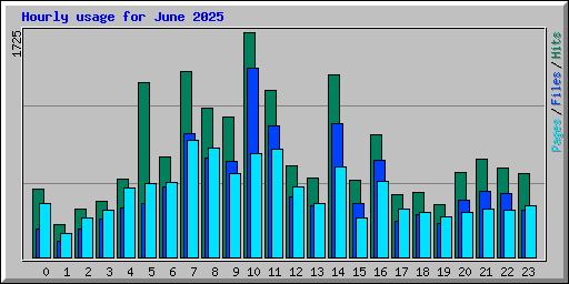 Hourly usage for June 2025