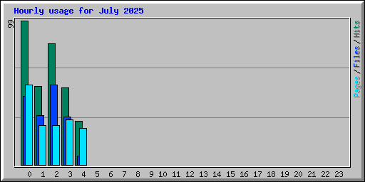 Hourly usage for July 2025