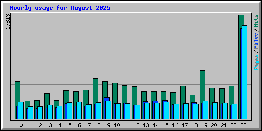 Hourly usage for August 2025