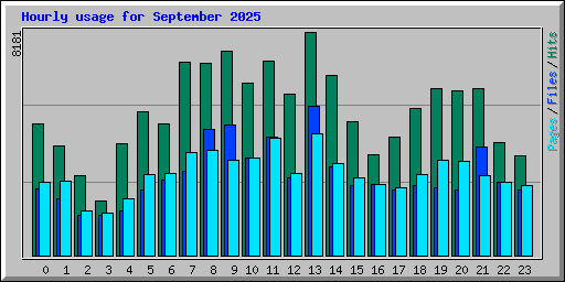 Hourly usage for September 2025