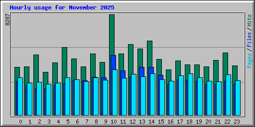 Hourly usage for November 2025