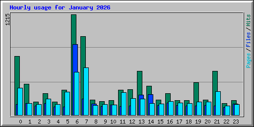 Hourly usage for January 2026