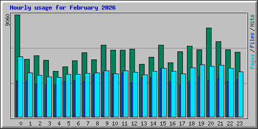 Hourly usage for February 2026