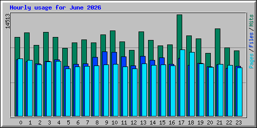 Hourly usage for June 2026
