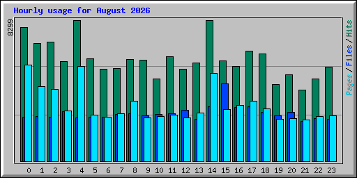 Hourly usage for August 2026