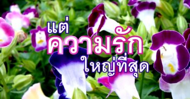 กำลังใจ: แต่ความรักใหญ่สุด