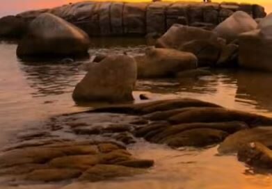 เมื่อชีวิตจะต้องสู้จงใช้สติปัญญาเป็นตัวกำหนดเพื่อนำไปสู่ชัยชนะ 