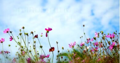 หนุนใจ: พระเจ้าทรงชั่งจิตใจ