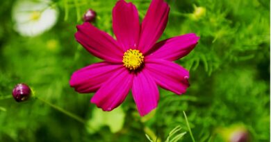 หนุนใจ: เพราะรัก..จึงตักเตือน