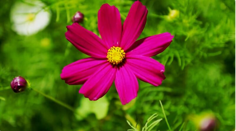 หนุนใจ: เพราะรัก..จึงตักเตือน