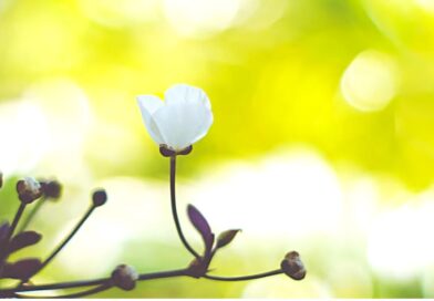 หนุนใจ: โกรธได้แต่อย่าทำบาป