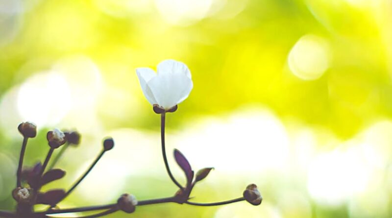 หนุนใจ: โกรธได้แต่อย่าทำบาป