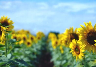 หนุนใจ: อะไรมีค่าที่สุด