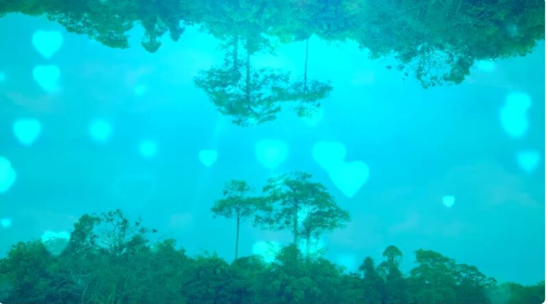 หนุนใจ: พระเจ้าทรงรักทั้งคนดีและไม่ดี